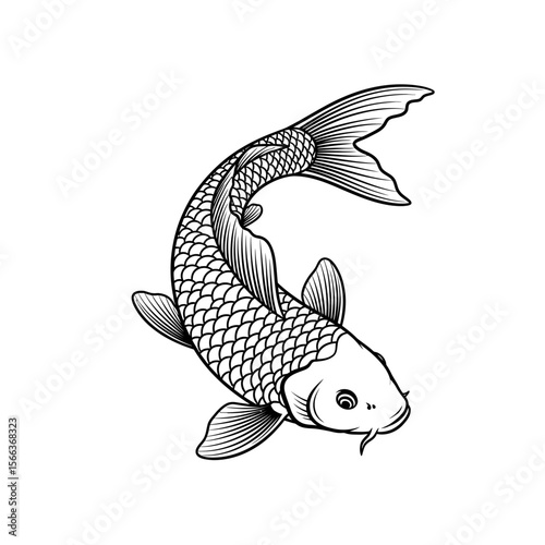 Detailed black and white line art illustration of a koi fish swimming upwards on a white background
