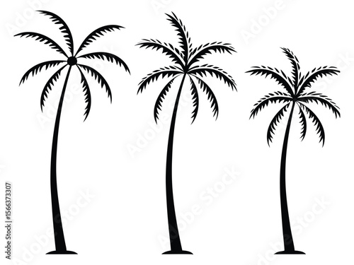 Tropical Black Vector Silhouette Icon Set for Palm Tree Scenes