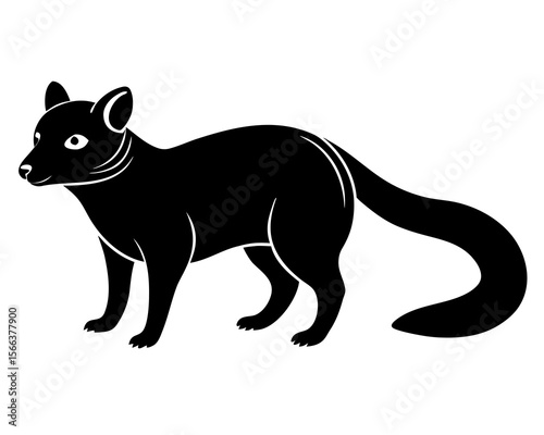 civet black silhouette on transparent background