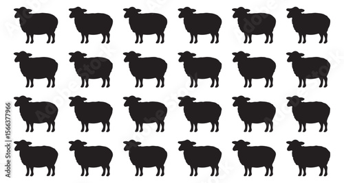 set of sheep vector
