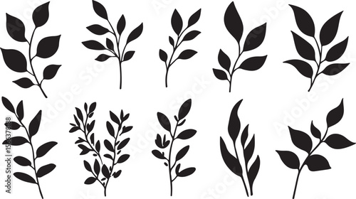 lack Leaves and Stems Vector