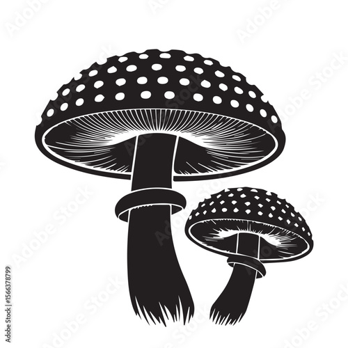 Two stylized black silhouette fly agaric mushrooms with white polka dots and gills on a white background