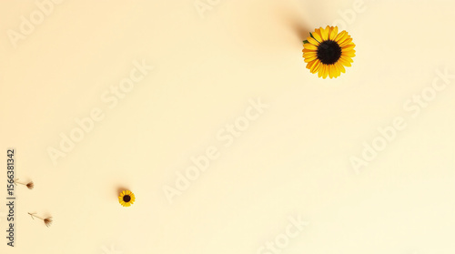 Sunflowers on a soft, light background, creating a serene and tranquil atmosphere.