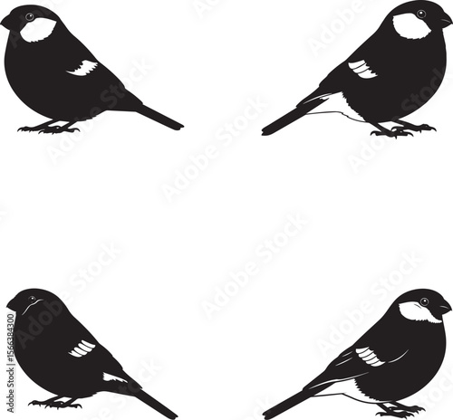 Bullfinch Silhouettes