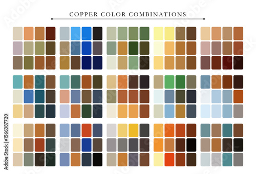 Elegant copper color palette with warm metallic tones, perfect for luxury branding and design.