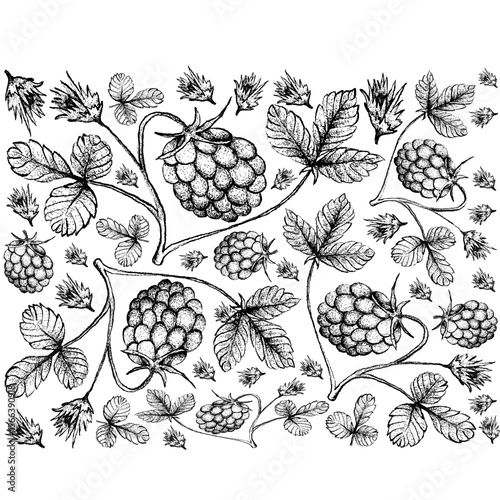 Hand Drawn Frame of Arctic Bramble Berries Illustration⁠
