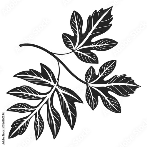 Black and white chestnut branch leaves graphic illustration