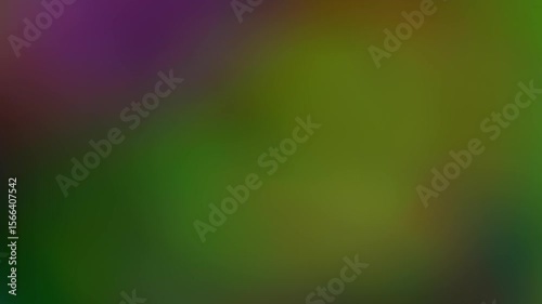 Wallpaper Mural Colorful 4k abstract gradient blurry animation video for motion backgrounds, overlays, screens. Torontodigital.ca