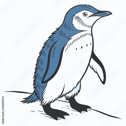 Blue penguin standing on white background little blue penguin