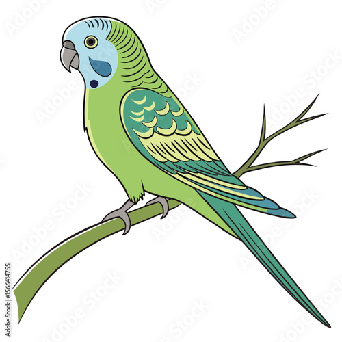 Green parakeet perched on a branch illustration budgie
