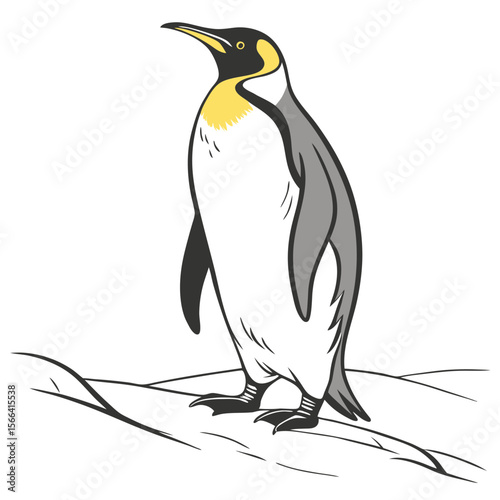 King penguin standing on ice illustration bird animal