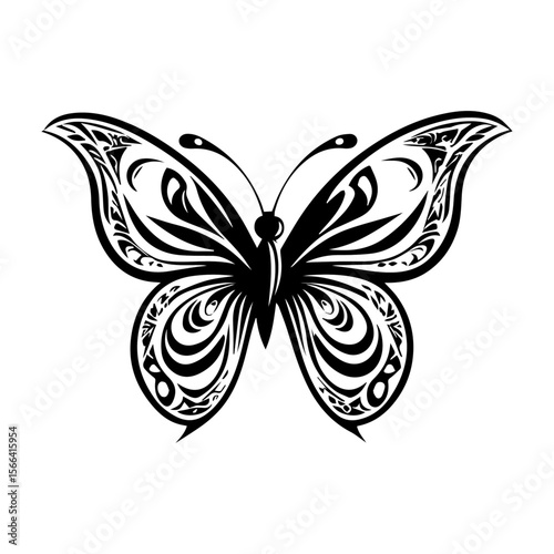 butterfly vector illustration