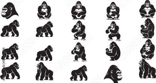 Gorilla ape animal primate wild creature wildlife