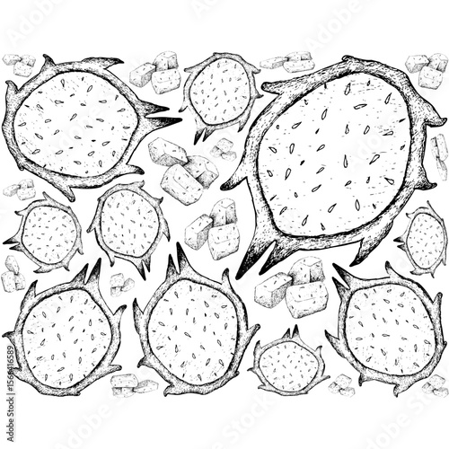 Hand Drawn Dragonfruit Background⁠
