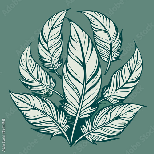 floating-feathers-with-detailed-line-work