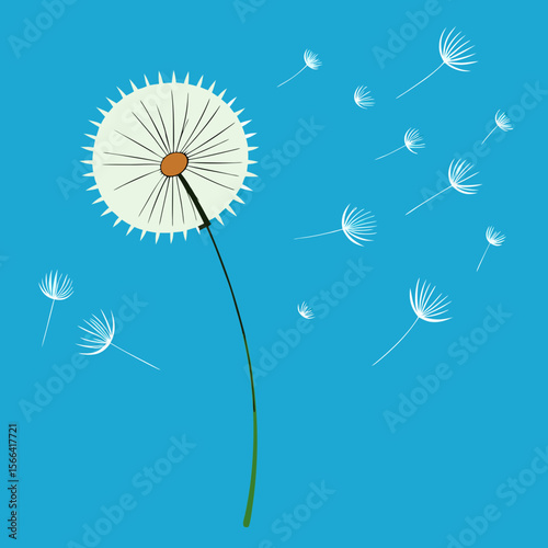 floating-dandelion-seeds-in-the-wind
