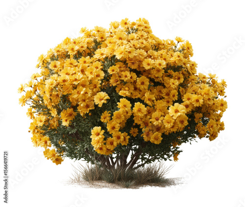 Vibrant yellow flowering bush nature scene floral arrangement view