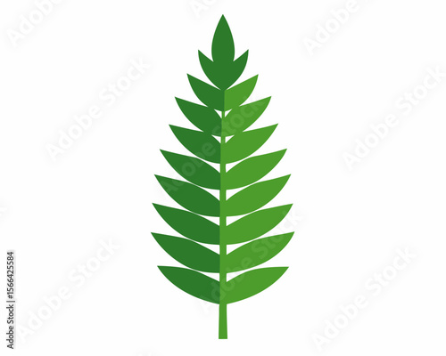 Leaf fern vector, Green leave fern tropical plant isolated on white background