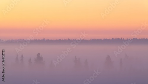 Misty landscape at dawn scenic view with soft pastel colors and ethereal atmosphere