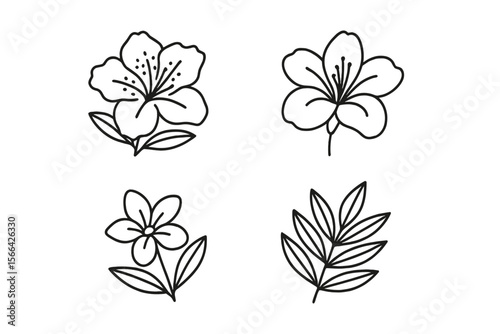 Floral illustrations featuring a variety of flowers and leaves in a simple black and white design