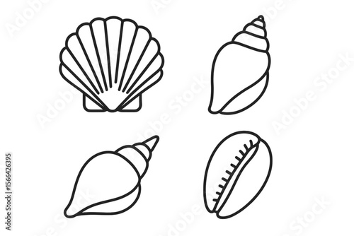 set of shells