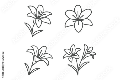 Hand-drawn illustrations of different flower varieties suitable for art projects and educational purposes