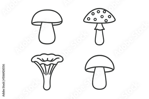 Collection of various mushroom illustrations with distinct shapes and patterns on a light background
