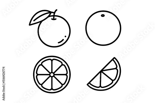 Illustrations of orange fruit varieties including whole, sliced, and wedge forms in a minimal design