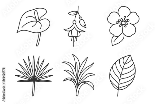 Collection of hand-drawn botanical illustrations featuring various plants and flowers in a minimalistic style on a plain background