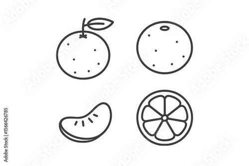 Various citrus fruits displayed in a simple black and white illustration