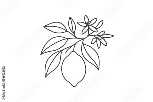 Fresh lemon branch with flowers and leaves captures the essence of summer and nature's bounty