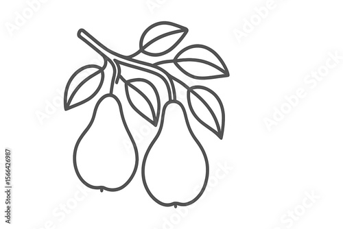 Two pears hanging from a branch with leaves, showcasing a simple and elegant botanical design
