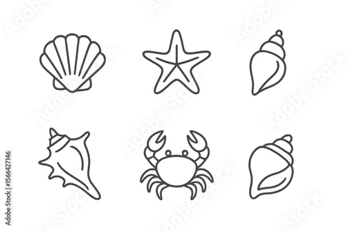 Collection of sea creatures and shells displayed in simple line art style for educational and decorative purposes