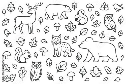 Drawings of forest animals and nature elements in a whimsical design suitable for kids and nature lovers
