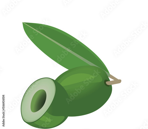 Green olive on white background. vector illustration	 photo