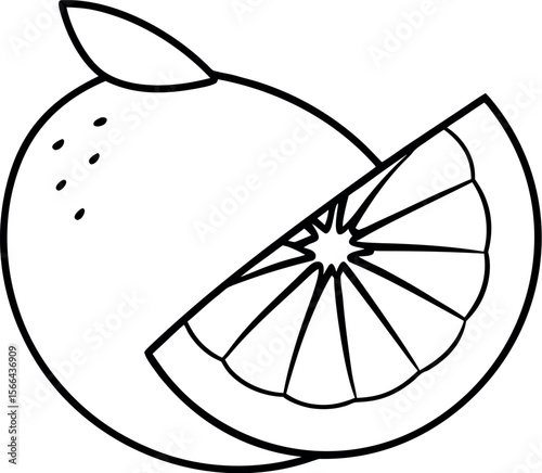 Grapefruit Sliced in Half Juicy Citrus Vector