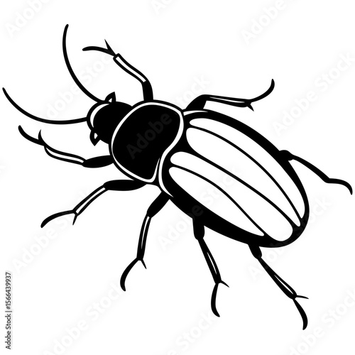 Beetle crawling line art vector illustration 
