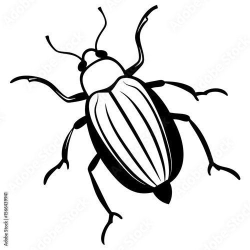 Beetle crawling line art vector illustration 