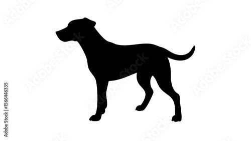 silhouette of a dog