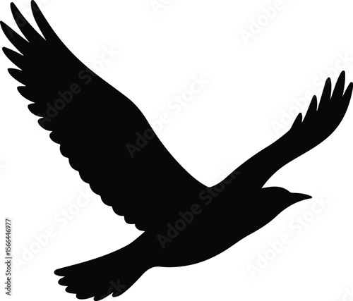 Silhouette bird soaring raven flying black shape vector illustration