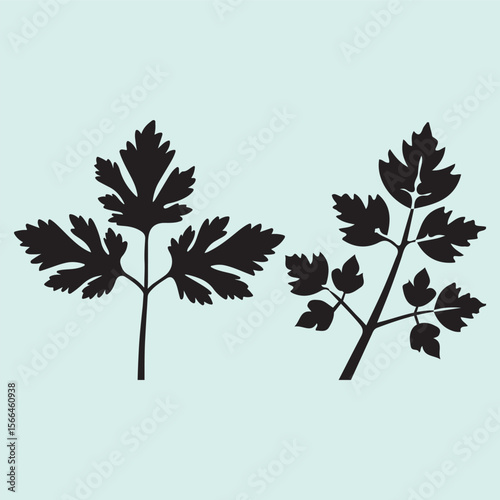 Coriander Leaf Silhouette Set Fresh Herb and Cooking Ingredient Icons