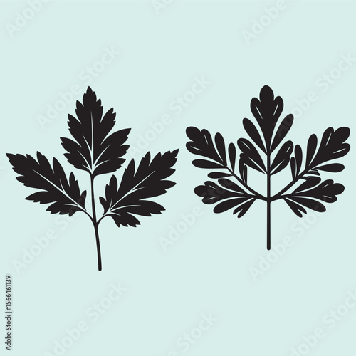 Coriander Leaf Icon Collection Aromatic Culinary Herb Silhouette