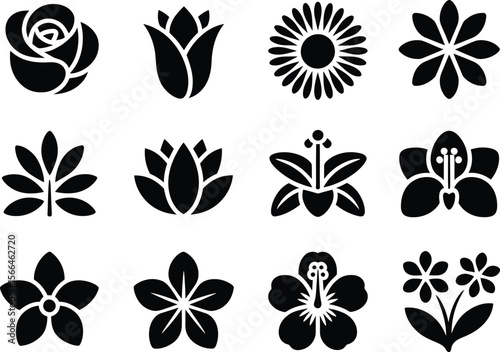 Collection of twelve stylized black flower icons on a white background