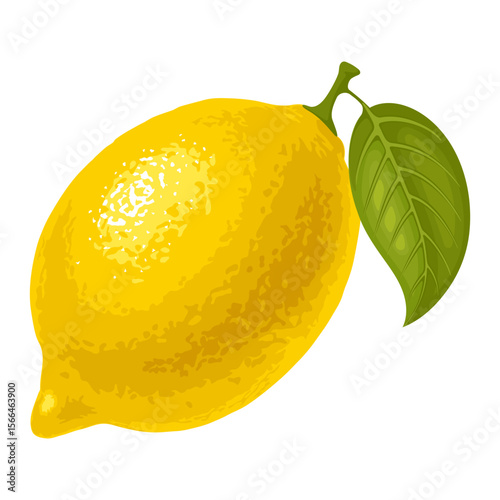 Ripe citrus fruit lemon with leaf. Graphic drawing of yellow juicy lemon. Isolated vector illustration