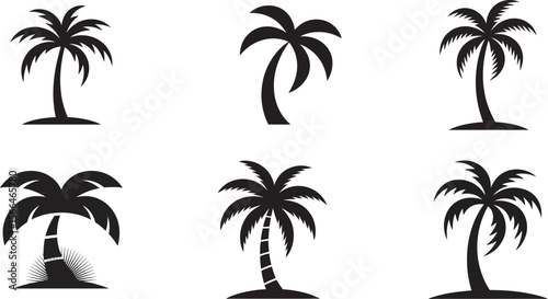Palm Tree Silhouette Vector Set – Tropical Island Tree Icons in Black and White