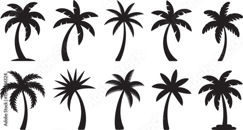 Vector Set of Black Palm Tree Silhouettes – Tropical Island and Beach Tree Icons Collection