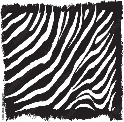 Close up of a black and white fingerprint image with detailed ridges and unique pattern design art