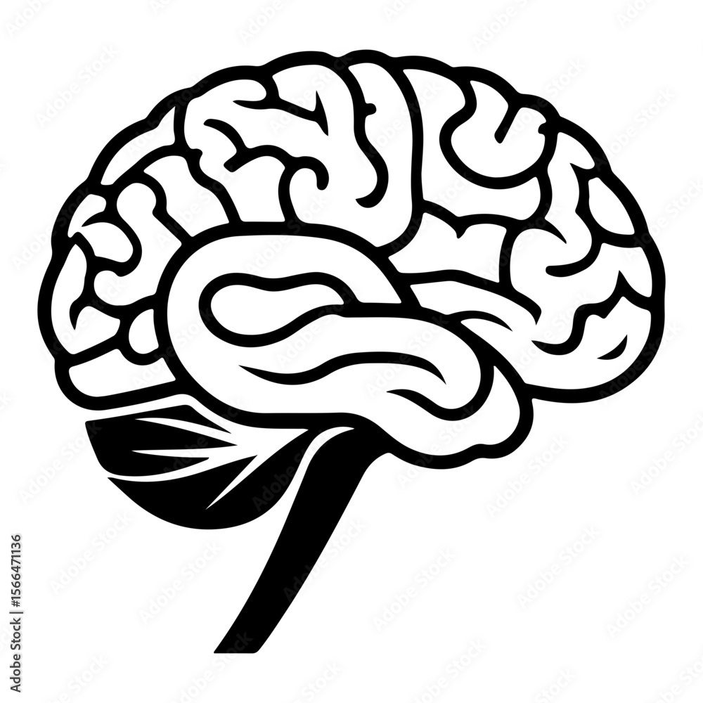 Obraz premium Stylized black and white human brain illustration with clear anatomical details