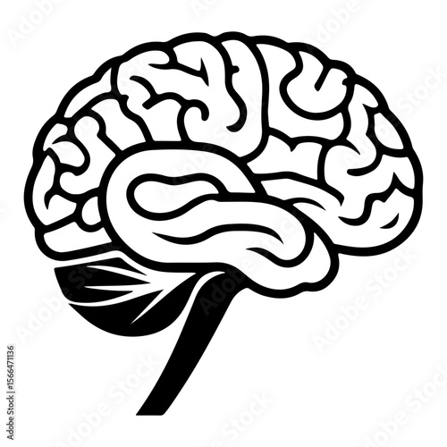 Stylized black and white human brain illustration with clear anatomical details
