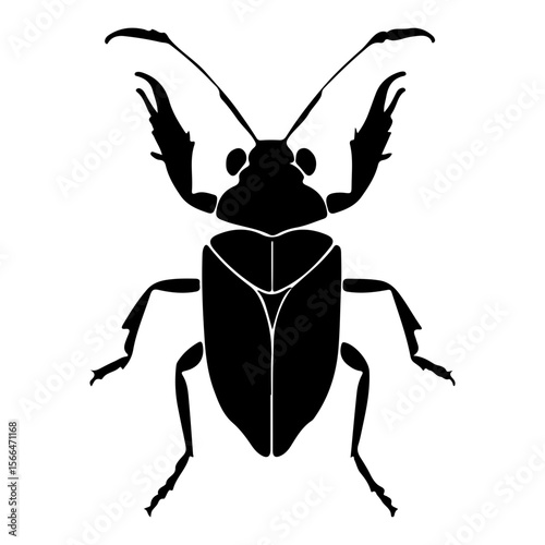 Black silhouette of a beetle with elaborate antennae on a white background